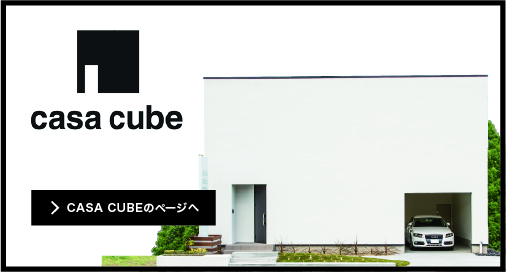 CASA cube